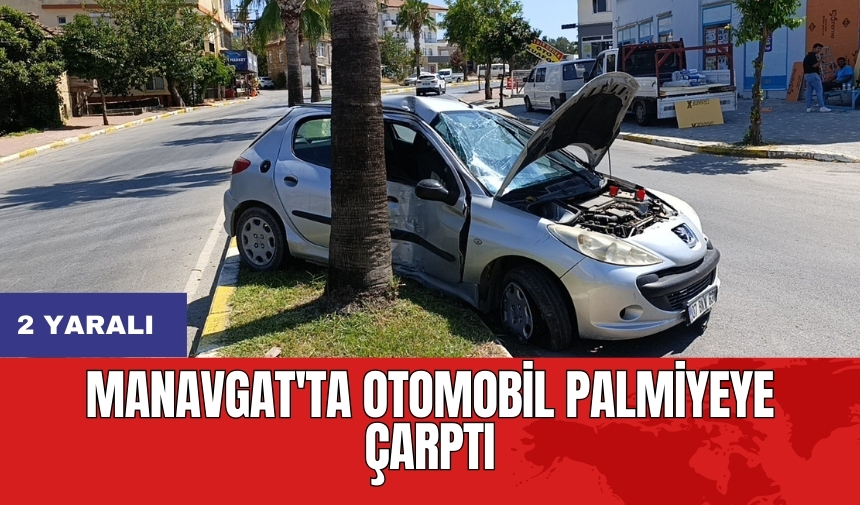 Manavgat'ta otomobil palmiyeye çarptı: 2 yaralı