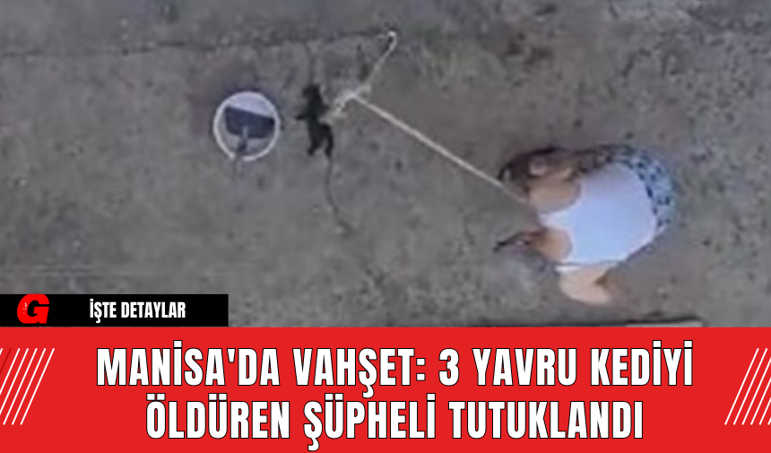 Manisa'da Vahşet: 3 Yavru Kediyi Öldüren Şüpheli Tutuklandı