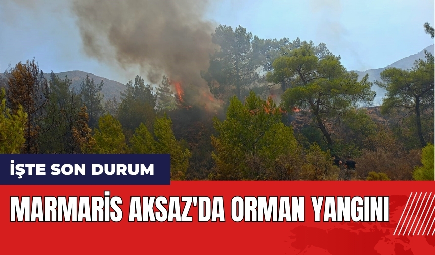 Marmaris Aksaz'da orman yangını