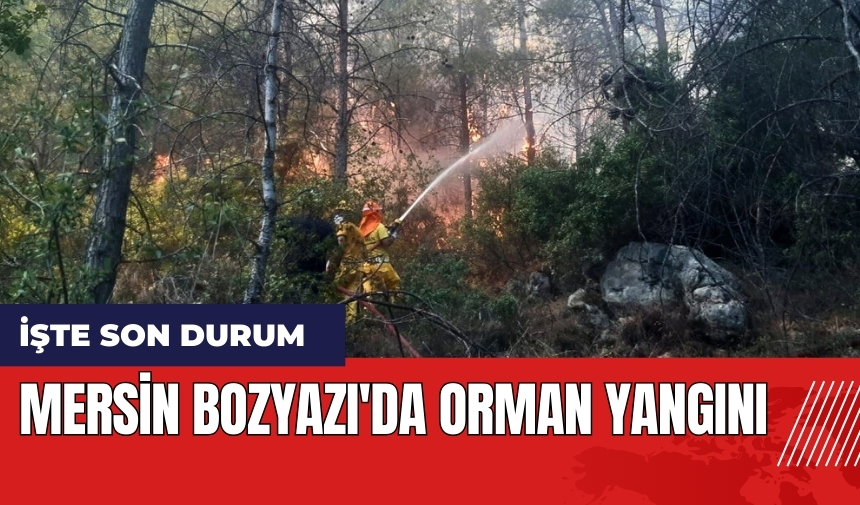 Mersin Bozyazı'da orman yangını