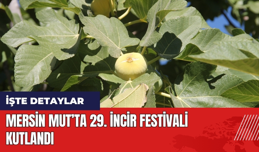 Mersin Mut’ta 29. İncir Festivali kutlandı