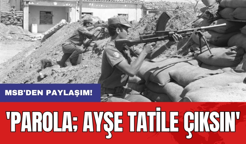 MSB'den paylaşım! 'Parola; Ayşe tatile çıksın'