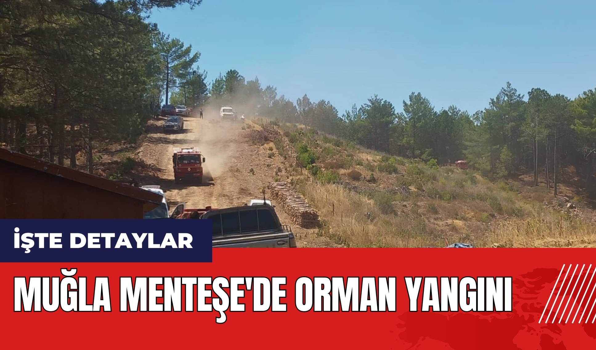 Muğla Menteşe'de orman yangını