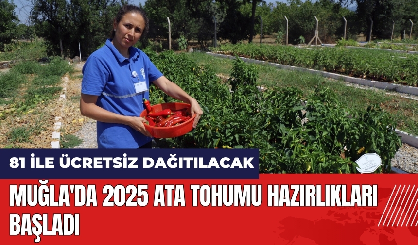 Muğla'da 2025 ata tohumu hazırlıkları başladı! 81 ile ücretsiz dağıtılacak