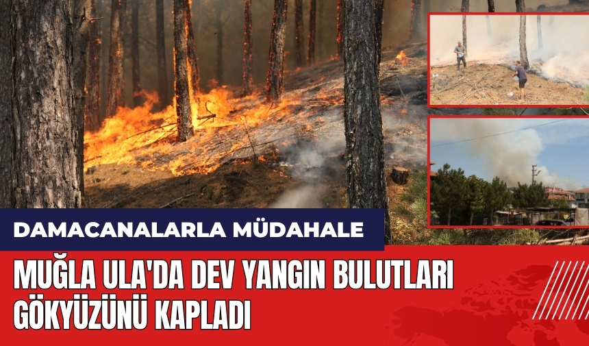 Muğla'da dev yangın bulutları gökyüzünü kapladı! Vatandaşlardan damacanalarla müdahale