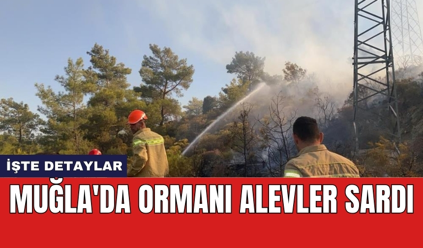 Muğla'da ormanı alevler sardı