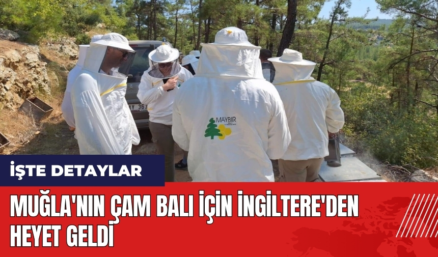 Muğla'nın çam balı için İngiltere'den heyet geldi