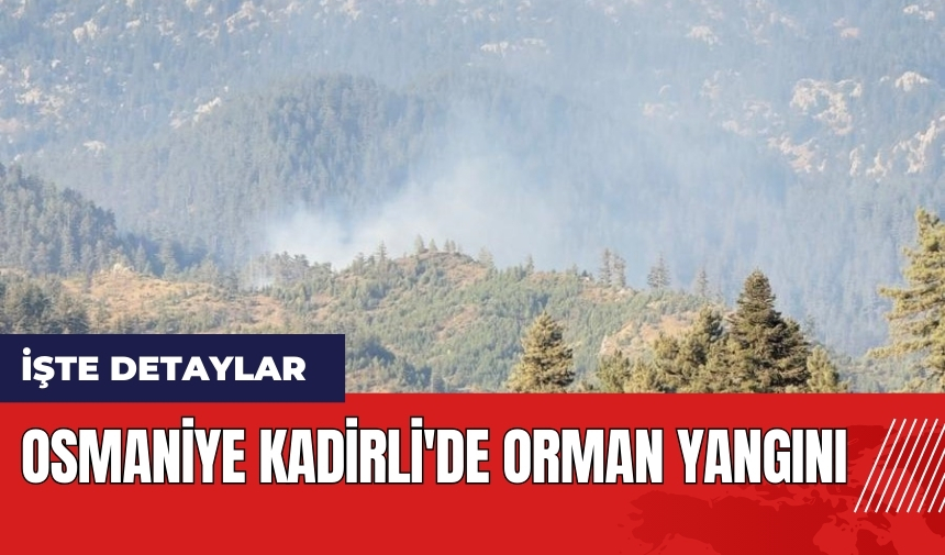 Osmaniye Kadirli'de orman yangını