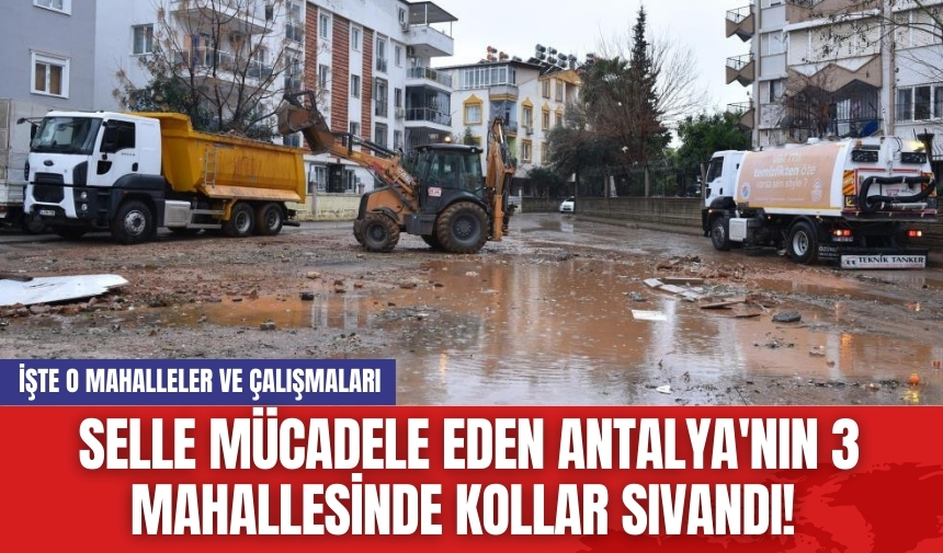 Selle mücadele eden Antalya'nın 3 mahallesinde kollar sıvandı!