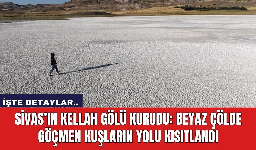 Sivas’ın Kellah Gölü Kurudu: Beyaz Çölde Göçmen Kuşların Yolu Kısıtlandı