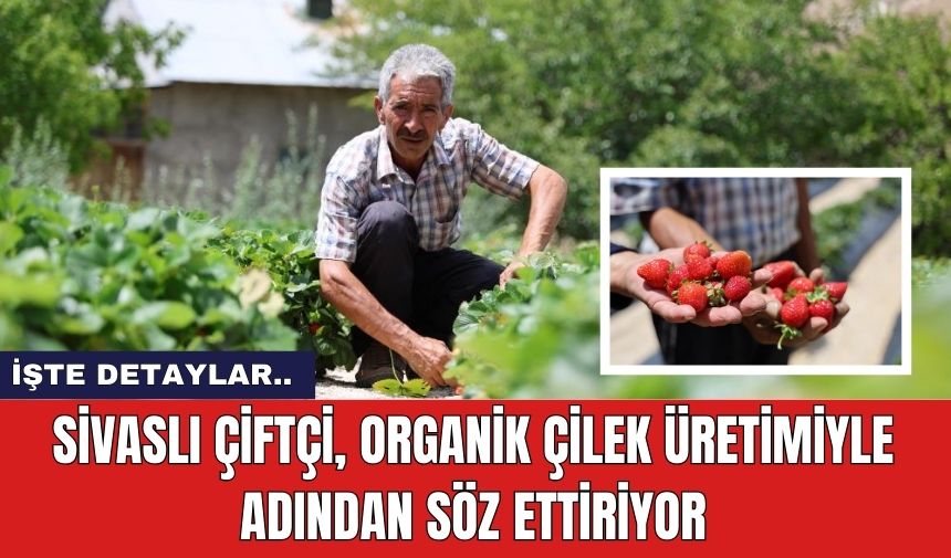 Sivaslı Çiftçi, Organik Çilek Üretimiyle Adından Söz Ettiriyor