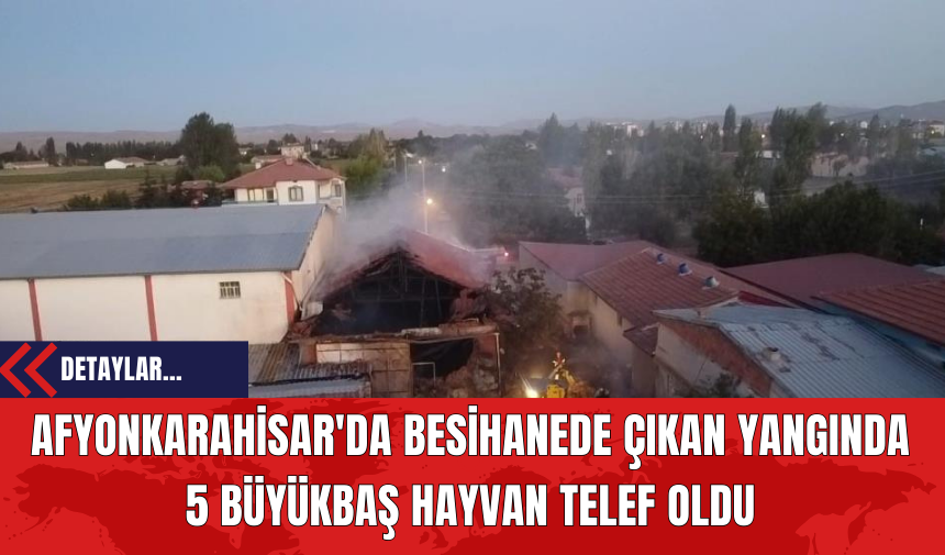 Afyonkarahisar'da Besihanede Çıkan Yangında 5 Büyükbaş Hayvan Telef Oldu