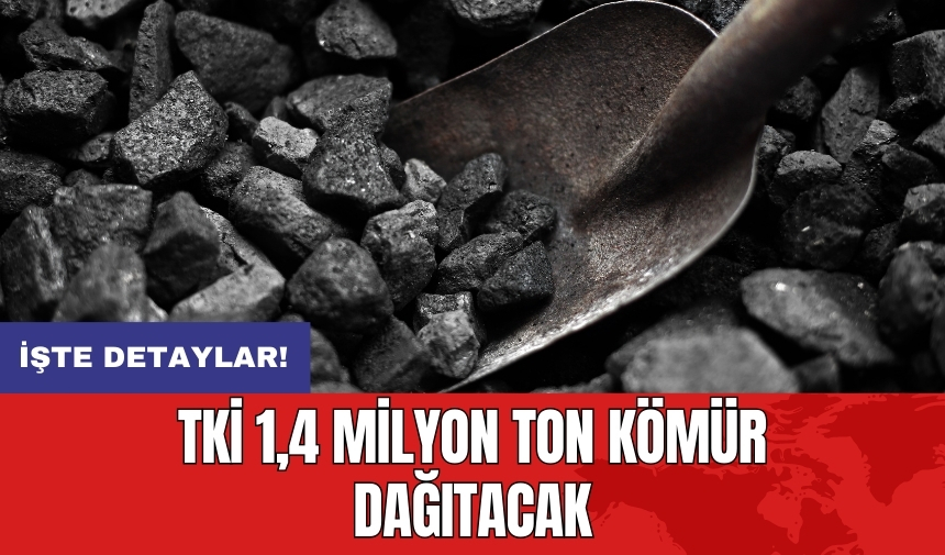 TKİ 1,4 milyon ton kömür dağıtacak