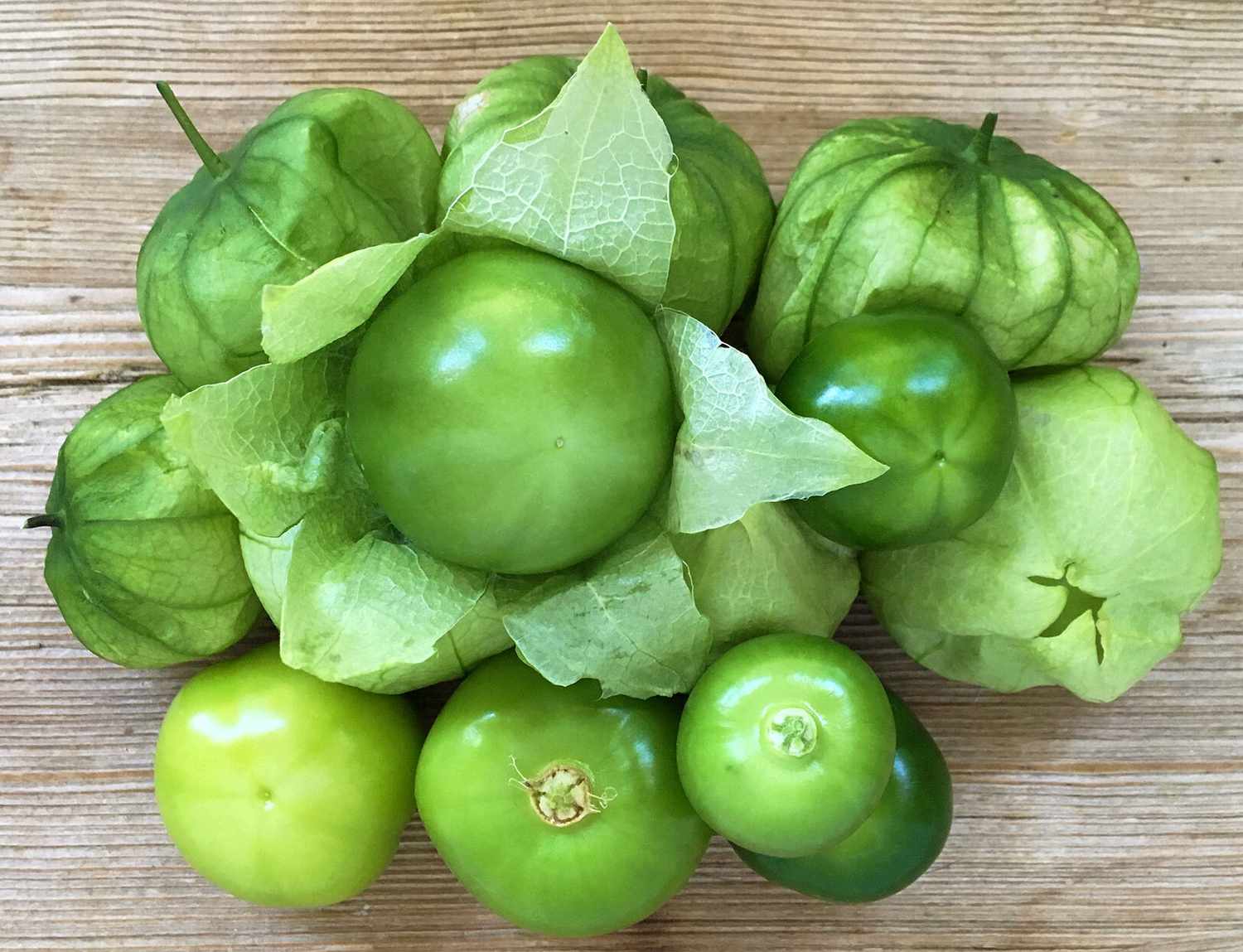 Tomatillo