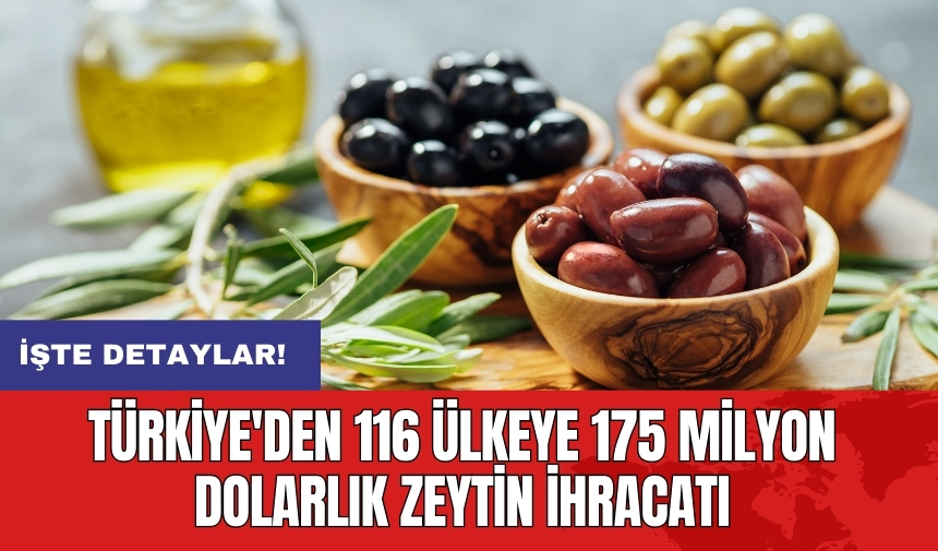 Türkiye'den 116 ülkeye 175 milyon dolarlık zeytin ihracatı