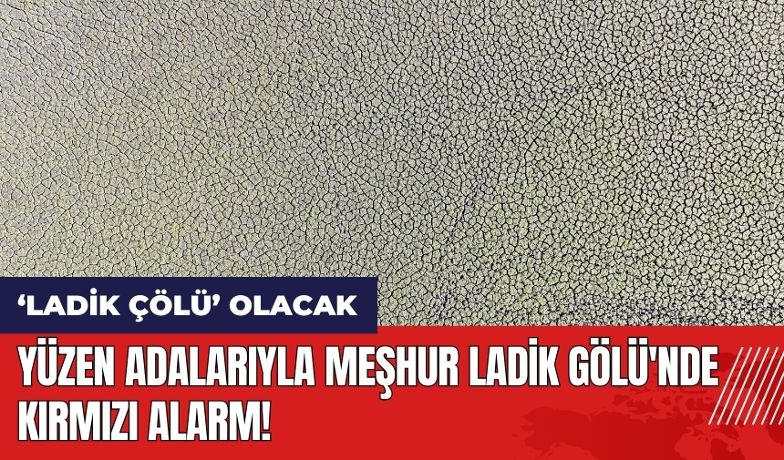 Yüzen adalarıyla meşhur Ladik Gölü'nde kırmızı alarm! Ladik çölü olacak