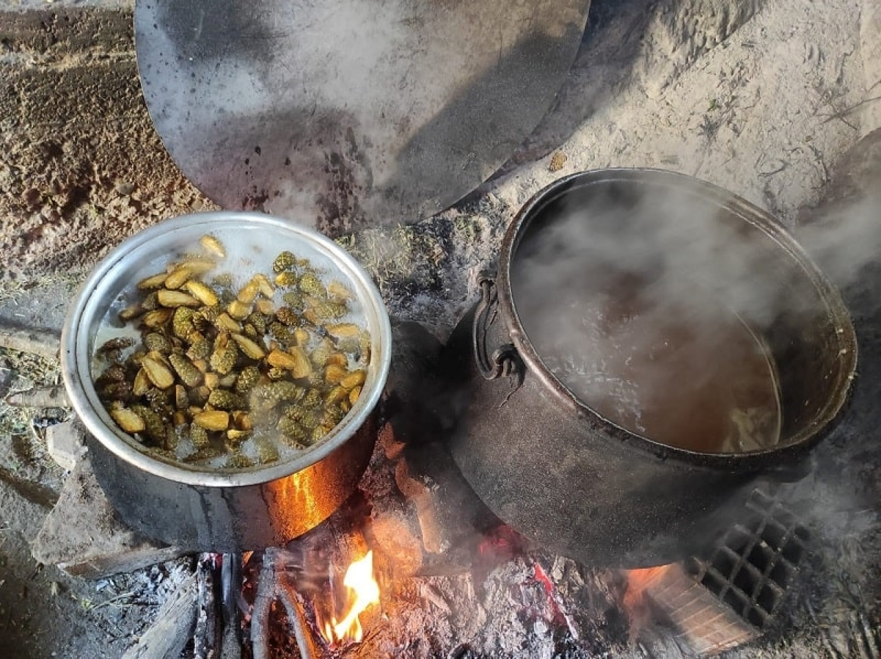 Kilogramı 100 TL'den satılıyor