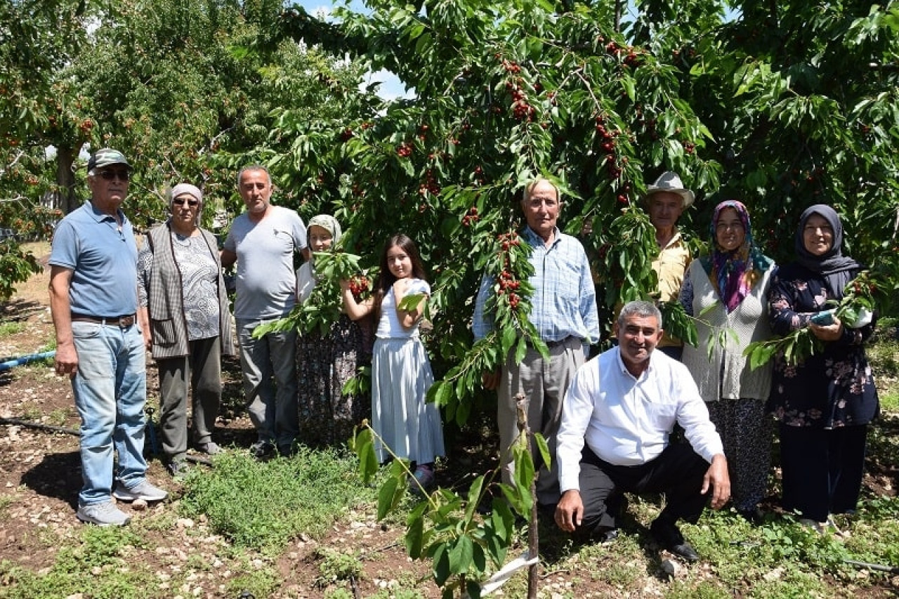 Kiraz üreticisi destek bekliyor!