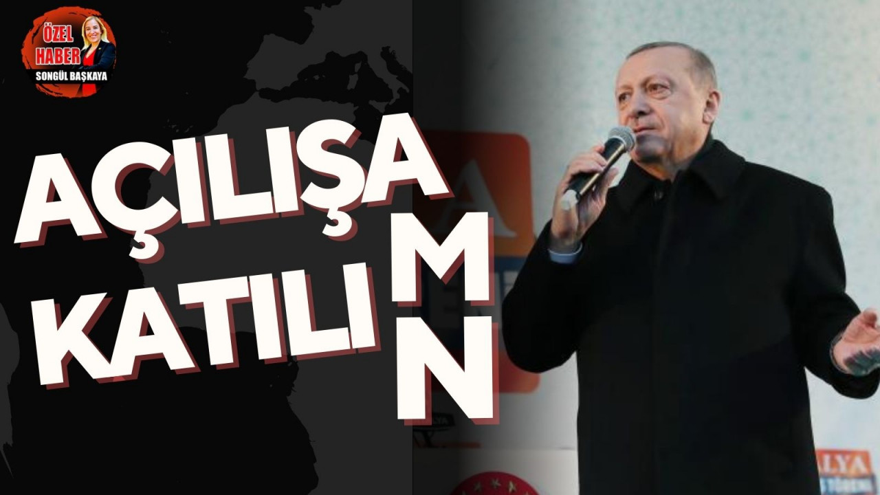 Açılışa katılım(n)