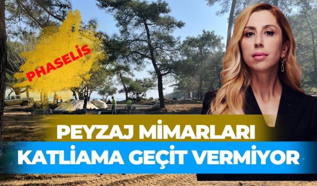 PEYZAJ MİMARLARI KATLİAMA GEÇİT VERMİYOR