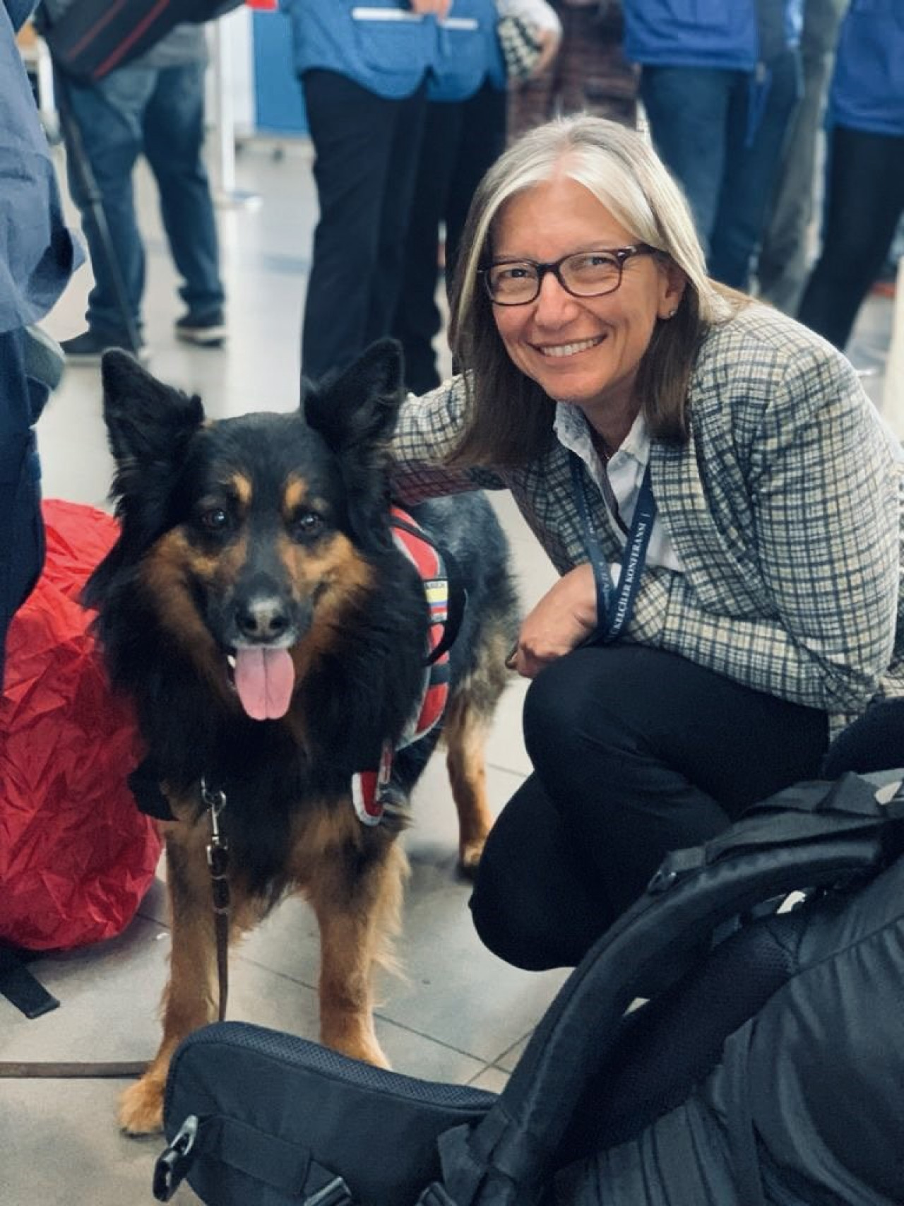 Kahraman köpek Aaron yaşamını yitirdi