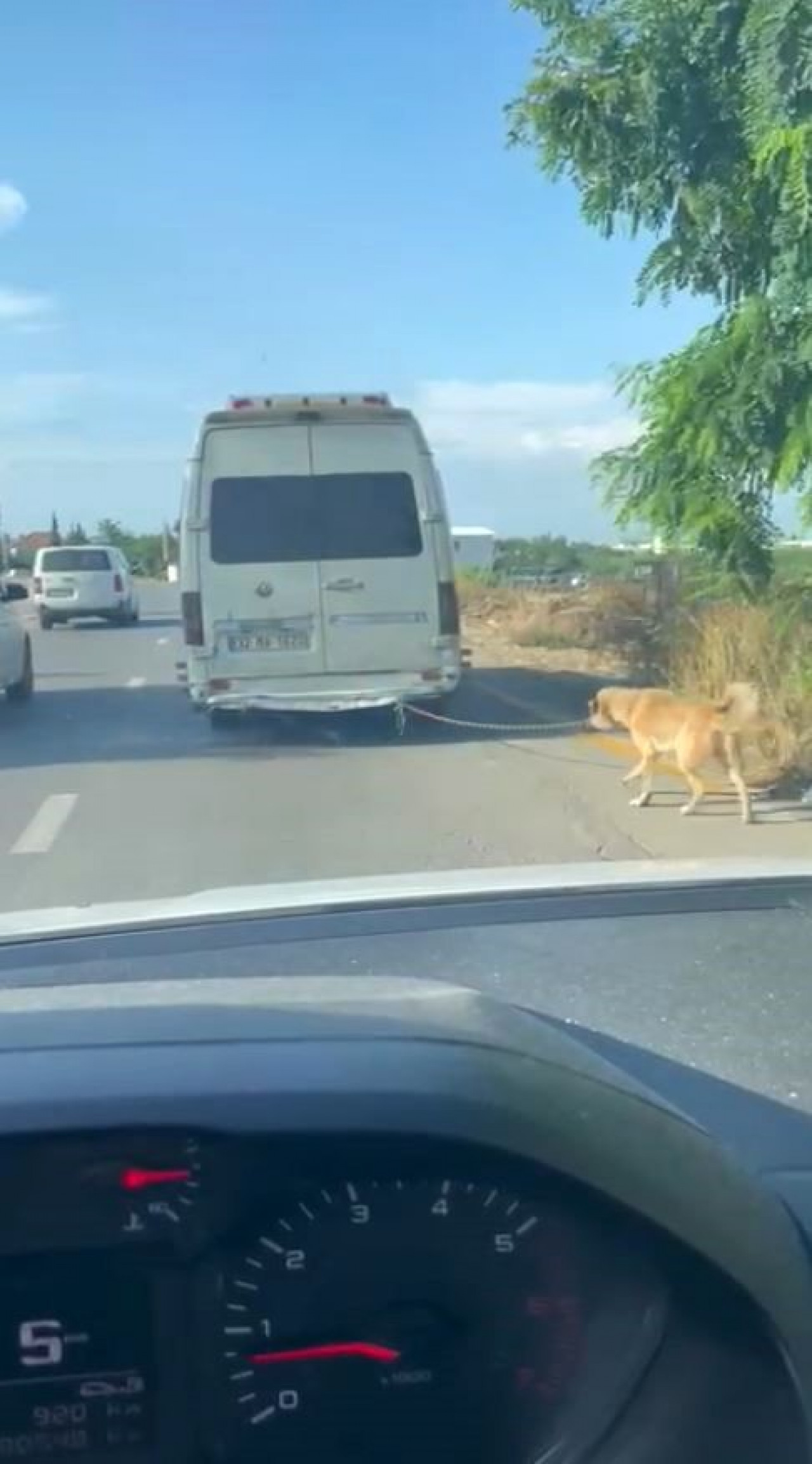 Köpeğe işkence eden caniye yaptırım