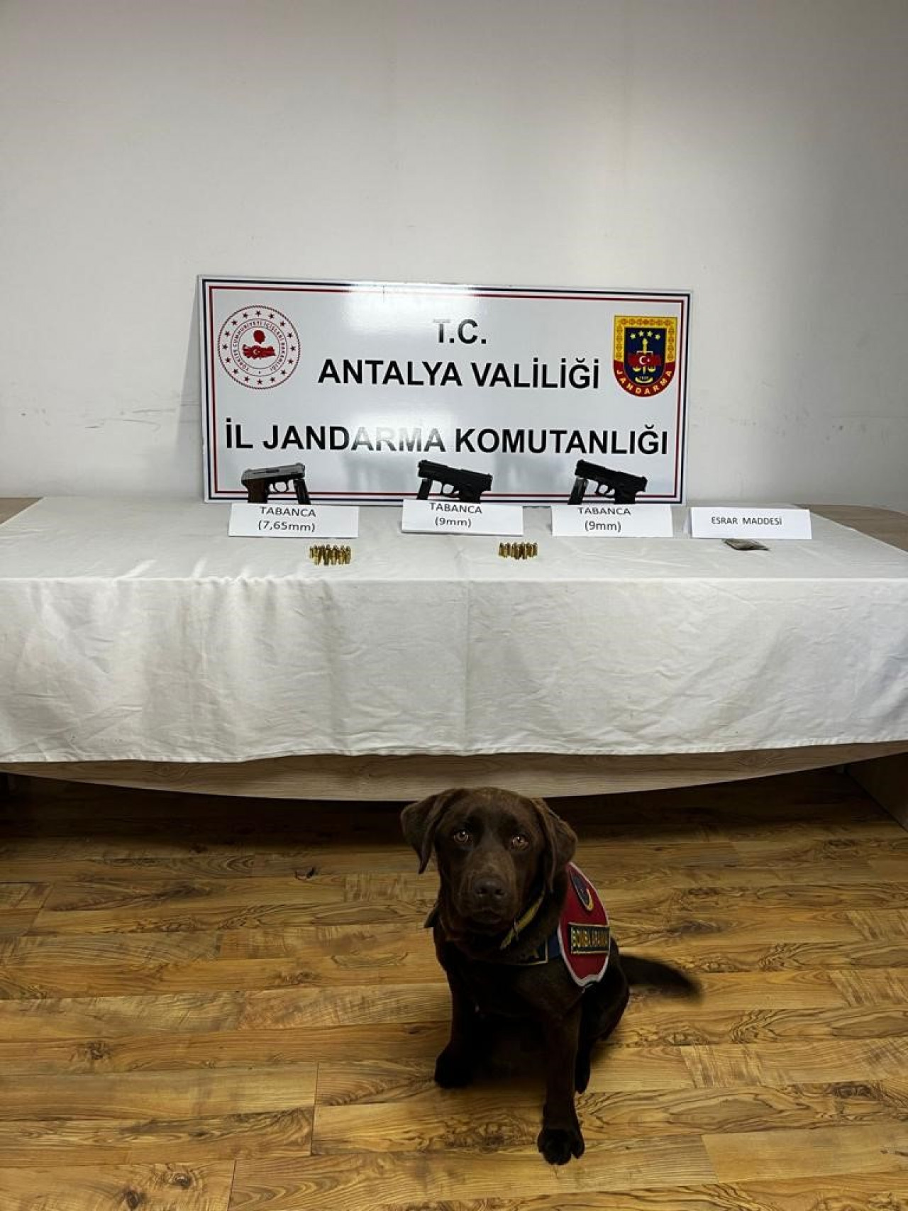 Narkotik köpeklerinden uy*şturucuya geçit yok