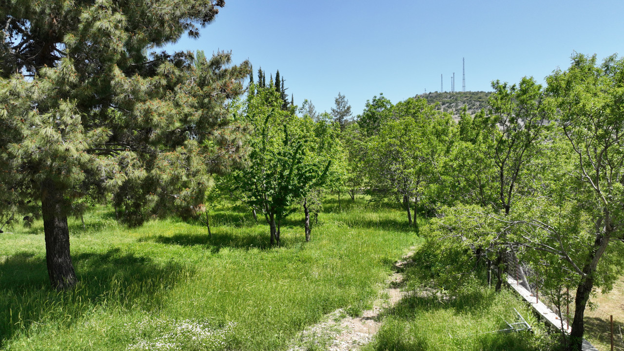 Ormana’da karavan alanı