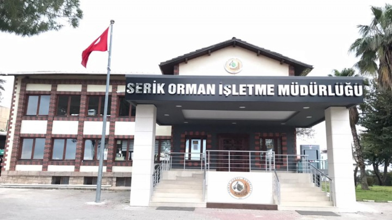 SERİK ORMAN İŞLETME MÜDÜRLÜĞÜ 10729 NOLU DİKİLİ AÇIK ARTTIRMALI ORMAN EMVALİ SATIŞ İŞİ