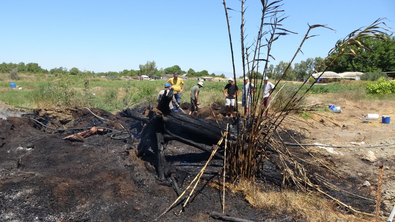 Manavgat'taki orman yangınında ihmal iddiası