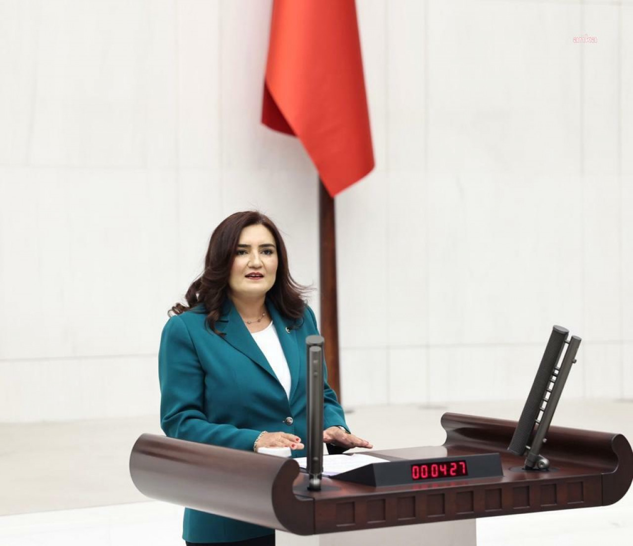 Sevda Erdan Kılıç, Onur Şener davası kararını eleştirdi