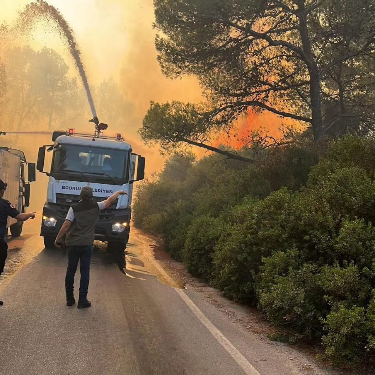 Bodrum Belediye Başkanından yangın açıklaması: “Yine çok büyük bir felaketin eşiğinden döndük”