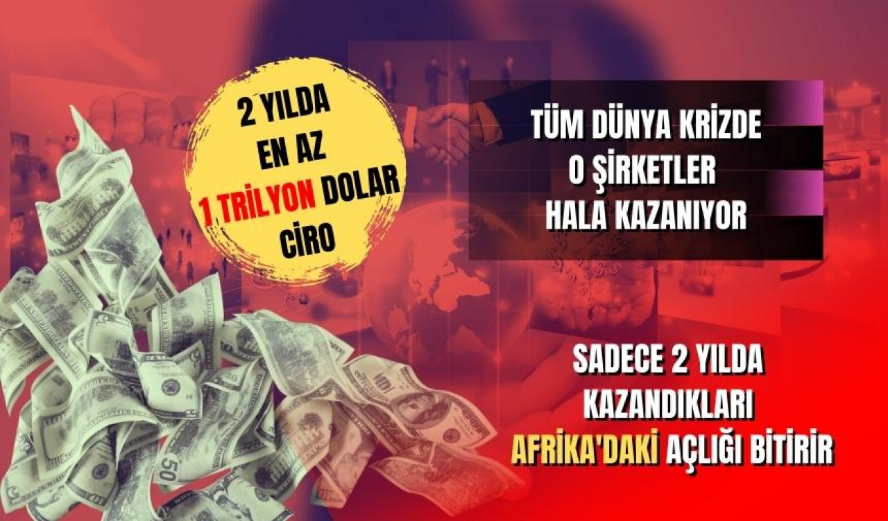 Dünya Genelindeki En Büyük 722 Şirketin son iki yıldaki kazancıyla Afrika'daki açlığı bitirir