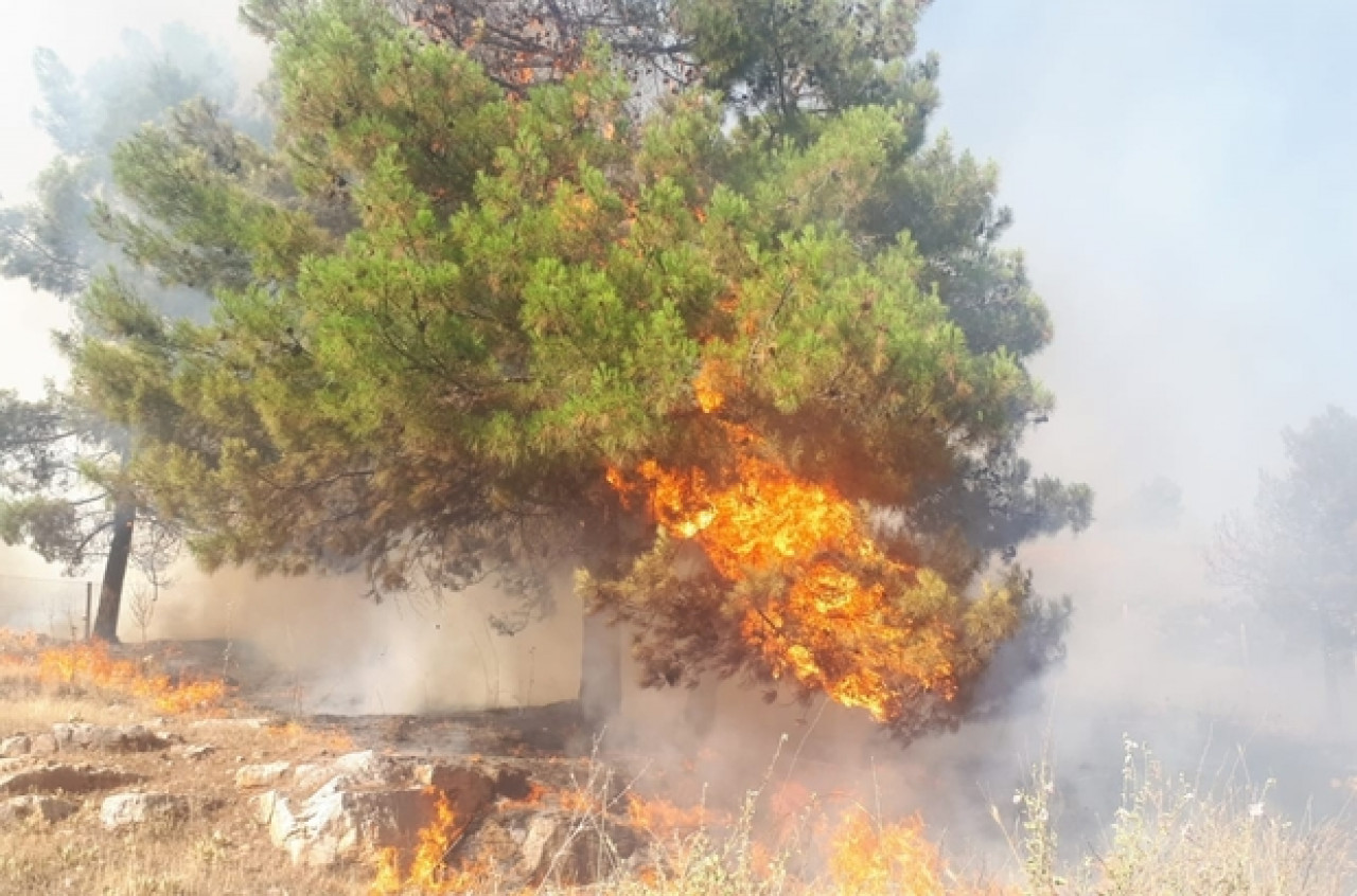 Adıyaman'da orman yangını