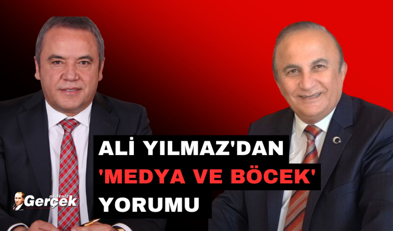 Ali Yılmaz'ın 'Medya ve Böcek' yorumu