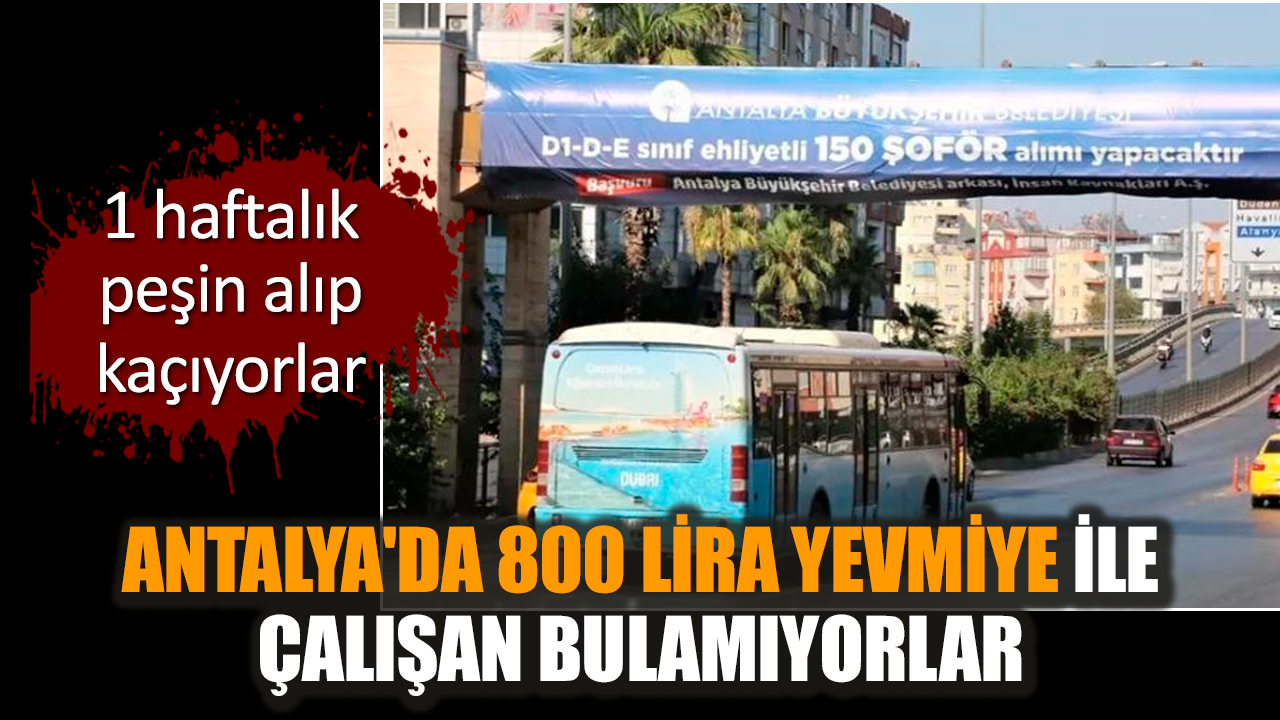 Antalya'da 800 lira yevmiye ile çalışan bulamıyorlar