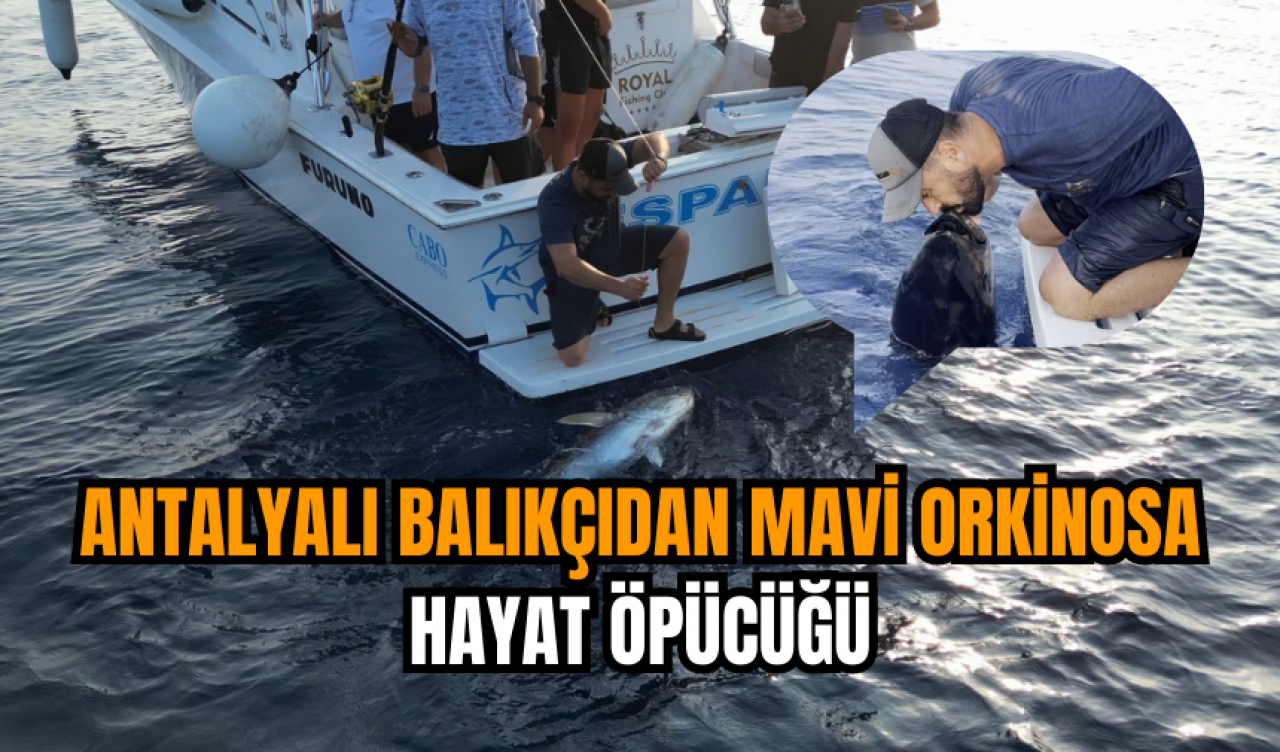 Antalyalı balıkçıdan mavi orkinosa hayat öpücüğü