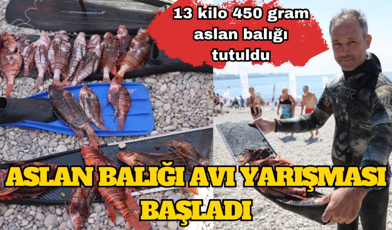 Konyaaltı Sahili’nde aslan balığı yarışması