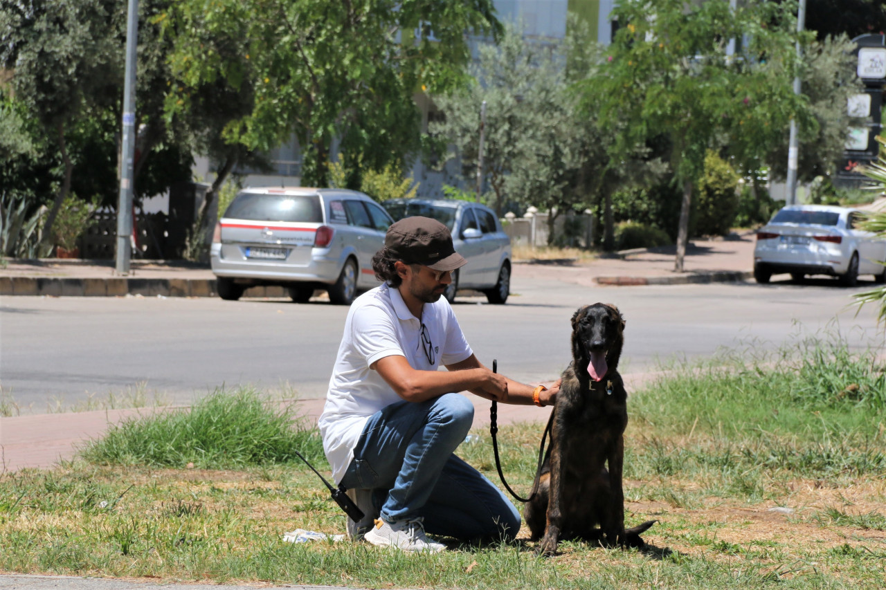 KÖPEK KAÇTI YETKİLİLER SEFERBER OLDU