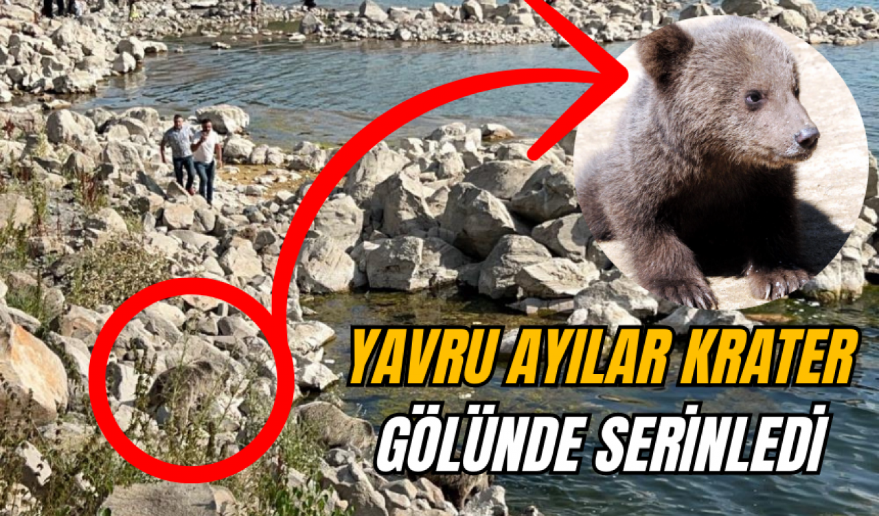 YAVRU AYILAR SERİNLEMEK İÇİN ÇAREYİ NEMRUT'TA BULDU