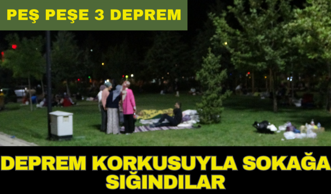 Deprem korkusuyla park ve bahçelere sığındılar