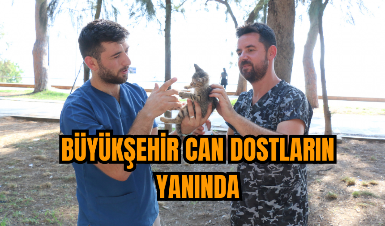 Büyükşehir can dostların yanında