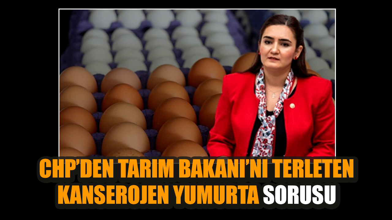 CHP’den Tarım Bakanı’nı terleten kanserojen yumurta sorusu