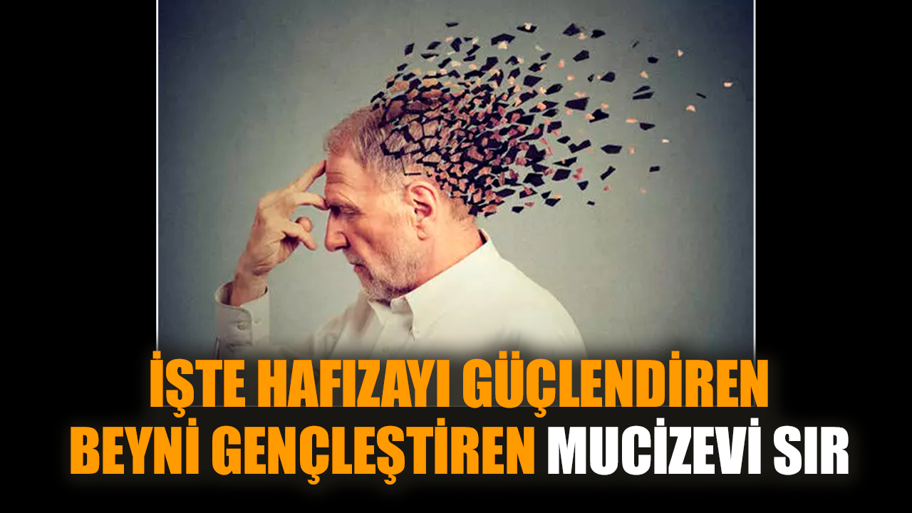 İşte hafızayı güçlendiren, beyni gençleştiren mucizevi sır