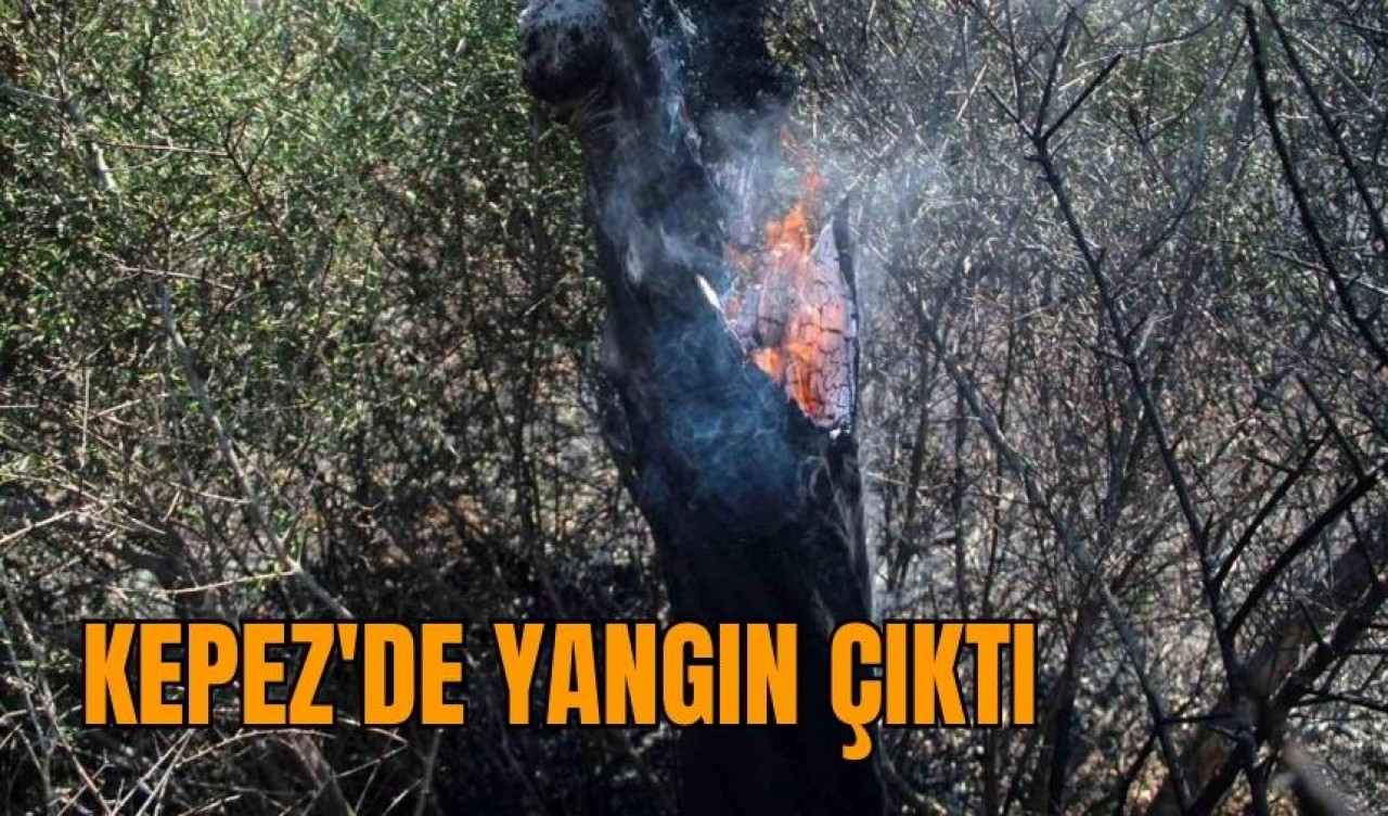 Kepez'de yangın çıktı