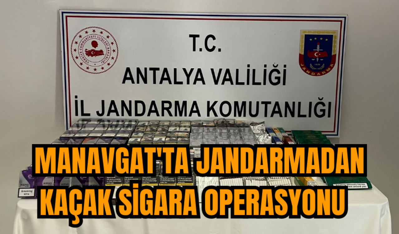 Manavgat'ta jandarmadan kaçak sigara operasyonu  