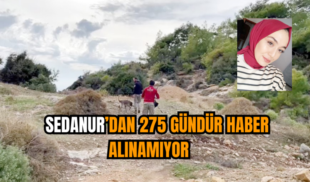  Sedanur’dan 275 gündür haber alınamıyor   