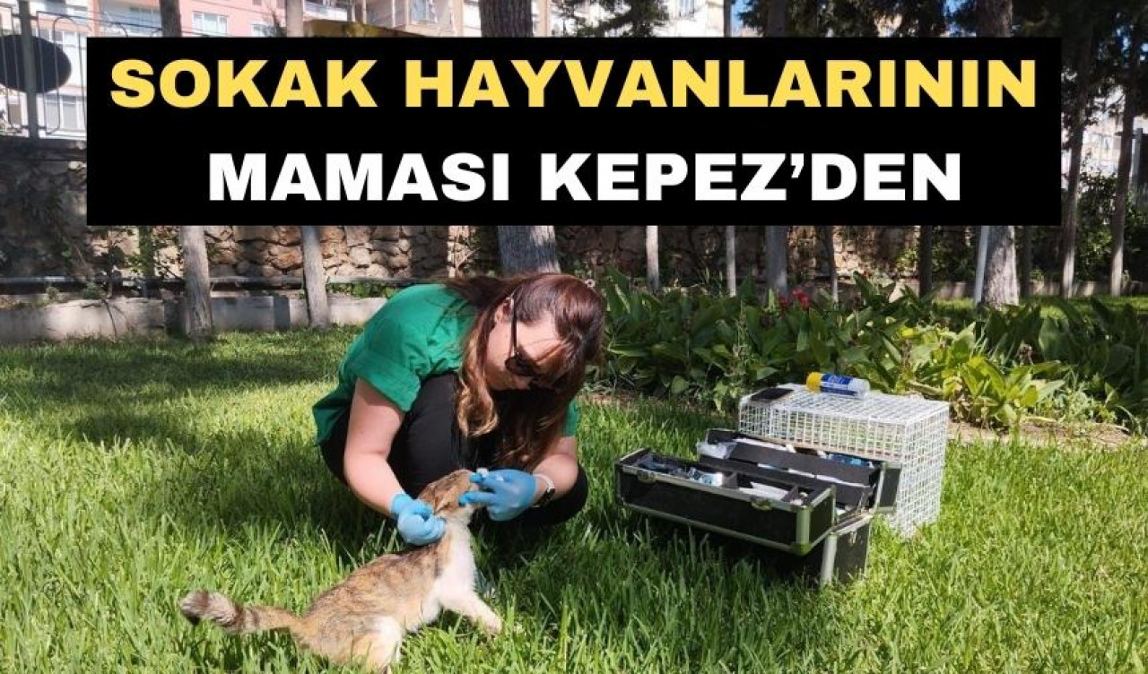 Can dostlar Kepez’de huzurlu