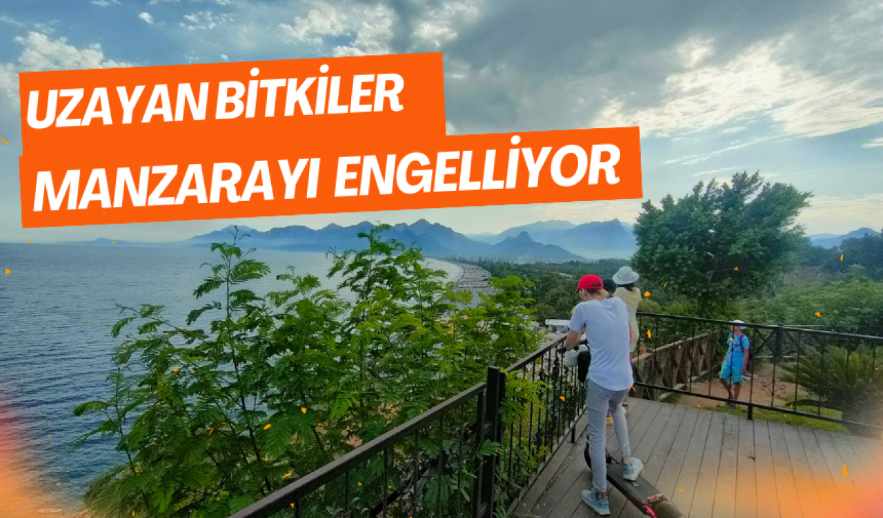 Uzayan bitkiler manzarayı engelliyor