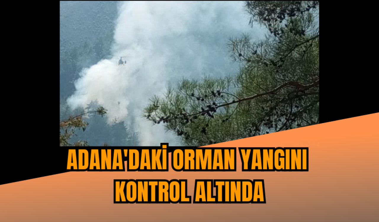 Adana'daki orman yangını kontrol altında